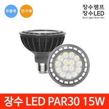 장수램프 LED 전구 PAR30 15W 확산형 램프, 1개, 장수 LED PAR30 15W확산형 주광색(흰빛)