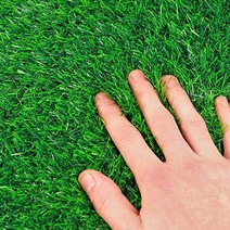 베란다 여름 인조잔디 20MM 6평 축구장 조경 마당 식물 풋살 매트