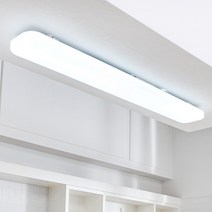 LED 데이 주방등 60W, 국내산 삼성 LED 60W 모듈포함, 주광색(6500K 하얀불)