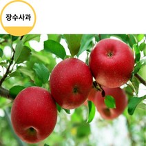 장수사과 고랭지사과 가정선물용 홍로사과5kg 17과 사과따기체험 사과다이어트 사과빵 사과잼 사과쥬스, 상세페이지 참조