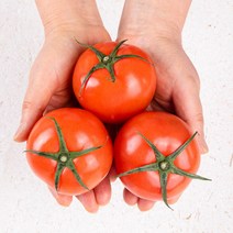 영양만점 토마토 3kg / 5kg / 10kg, 토마토10kg:대과 특.1번과