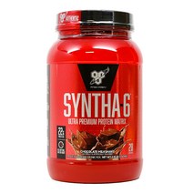 신타6 오리지널 유청 단백질 프로틴 보충제 초코 초콜릿 WPI, 초콜릿 밀크 1.32kg