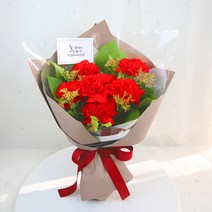 카네이션 생화 꽃다발 5월 어버이날 스승의 날 꽃배달, (고급)레드 꽃다발, 기본(7송이)