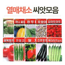 토종씨앗도감 인기 상위 20개 장단점 및 상품평