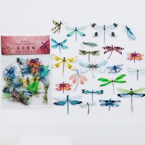 스티커컬러링북 40 개갑 곤충 잠자리 나비 pvc 표본 장식 스티커 diy 책 앨범, b