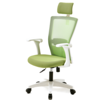 라온체어 보스200 의자 사무실 책상 컴퓨터 학생용 공부 메쉬 의자, 보스200_화이트프레임_그린