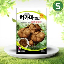 솔림텃밭몰 히카마씨앗 50립 히카마 얌빈 멕시코감자 감자씨앗