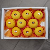 제주 산지직송 제주황금향 황금향 선물세트 3kg 5kg, 제주 황금향 선물용 실속 3kg 14-19과
