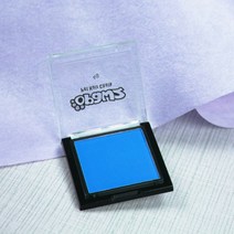 POMTOR 애견 강아지 고양이 볼터치 화장 염색 미용 반려동물 헤어초크 블러셔, 펫 블러셔-블루 4g(염색브러쉬)개