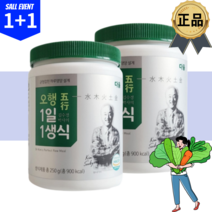 김수경생식 자연식물식 생채식 발효생채식