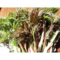 눈개승마1kg 진안고원 마이산 고랭지 삼나물 2022년산, 1개, 100g