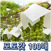 과수봉지 포도갓 포도 우산 삿갓 열과방지 고른착색 봉지 루비로망 블랙사파이어 마이하트 빛차단 가온재배 용품 25x25cm 100매, 포도갓067420CM, 100개