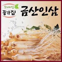 금산인삼 국산 인삼 수삼세척가정용난발파삼, 1팩, 세척주스용인삼600g(14~18뿌리)