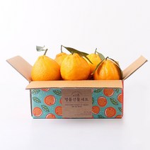 [감동]제주 한라봉 벌크, 1box, 1kg 5과내외 중과 2개구매시 2.5kg 발송