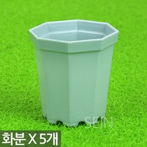 팔각 미니 플라스틱 화분 그레이 X 5개 - 어린이집 유치원 플분 다육 선인장 식물 모종 삽목 인테리어 홈 가드닝 어린이 식목일 행사