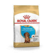 로얄캐닌 닥스훈트 퍼피 1.5kg 건식 반려견 어린강아지 면역강화, 단품