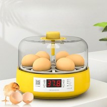 조류부화기 병아리부화기 인큐베이터 병아리 작은 가정용 스마트, 자동형(4개형)