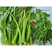 Canh chua 500g 세트/아시아 농장 송소희, 1개