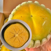 [산지직송] 고당도 아삭달콤 창원 태추단감 햇 배 단감 가정용 흠과 정품 선물용 선물세트 감 2kg 3kg 4kg 5kg, 1박스, 중과 4kg(가정용 16-22과)