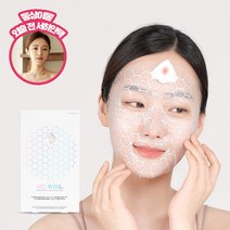 비주얼바이얀 서하얀팩 생체전류 부스팅 마스크팩 세트 (풀세트 하프세트), 하프세트(디바이스+5장)