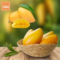 고씨네 프리미엄 망고2kg 수입망고 망고종류 망고, 상세페이지 참조