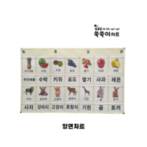 쑥쑥이차트 M-5 한글안녕 차트 양면 한글 공부 통글자 아기낱말카드, 그레이