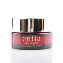 스킨케어 화장품 크림 60ml 앤시아 여자 에이징컷 엔시아 manypicks*6283010TM, 1, 본상품선택