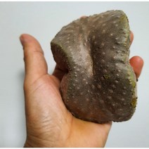 [산지직송]열매마 2kg 3kg 둥근마 하늘마 산마 특품 특상품 선물용 가정용 효능 제이블릭, 열매마 3kg