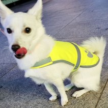 중형견 야간산책옷 조끼 강아지 안전 빛반사옷 스피츠