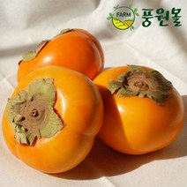 달콤아삭 경남 단감 정품 5KG/10KG, 정품 10kg(60~70)