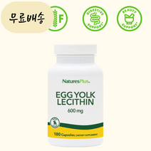 NaturesPlus 난황 난황유 난유 레시틴 600mg 180캡슐 에스지솔루션, 1개, 180정