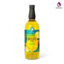 포모나 믹솔로지 피나콜라다 시럽 1000ml 파인애플 코코넛시럽, 1개