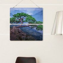 바보사랑 멀티아크릴액자 소나무절경(2단).꾸밈, 타입1