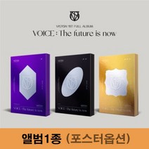 빅톤 앨범 정규1집 THE FUTURE IS NOW [VICTON VOICE] 1종, 버전3. now(블랙), 포스터없음