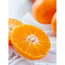 [코코리팜]새콤달콤 제주 노지감귤 5Kg 10Kg, 혼합5Kg
