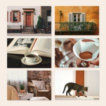 멜로우 엽서, 14.꽃이 보이는 창가