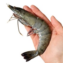부산이오 블랙타이거새우 500g (소금구이 캠핑용), 15미