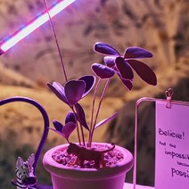 [가온] 식물성장조명 LED 식물램프 조명 식물 햇빛 재배, 식물성장LED2구