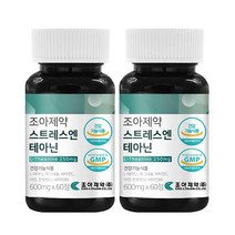 조아제약 스트레스엔 테아닌 6종기능성 긴장완화, 600mg x 60정 2박스, 2개