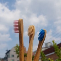 열린방향 친환경 대나무 칫솔 5개 세트 미세강모 어린이 어른용 나무칫솔 생분해 치솔 잇솔 미세모 배송비 무료, 어린이용5개+어른용5개