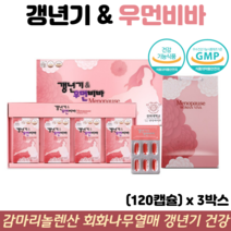 감마리놀렌산 영양제 회화나무열매 추출물 여성 갱년기 건망증 불면증 개선 갱년기우먼비바, 3박스, 120캡슐