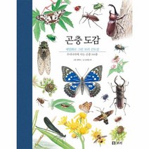 곤충 도감 세밀화로그린보리큰도감, 상품명