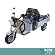 노인전동차 YL타니 화물형 다목적운반차 삼륜전기차 시설관리, 1