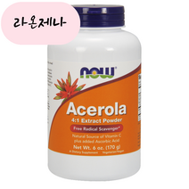 홈쇼핑 나우푸드 NowFood 아세로라 파우더 170g, 1개