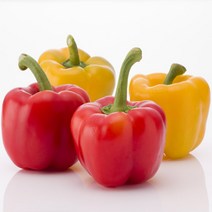 갑봉이네 못난이 실속형 파프리카 1.5~5kg, 파프리카 1.5kg