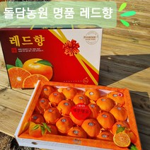[돌담농원]제주명품 레드향 3KG 5KG 가정용 선물용, 5KG선물용(20~23내외)