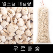 코리아푸드 대용량 업소용 백옥콘 강냉이 5.3kg 1개 box포장, 5kg