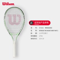 윌슨 입문용 여자 테니스라켓 경량 여성 카본 WR061610U2, A