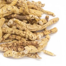 백수오 국내산 500g 통 은조롱 효능 차