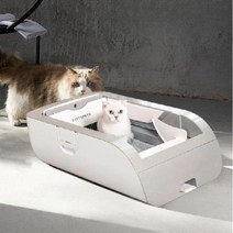 자동 고양이 화장실 특대형, 그레이 본체 + 세트